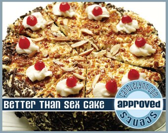 BETTER Than SEX CAKE Clam Shell Package - Tarts - Break Apart Melts