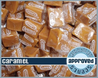 CARAMEL Clam Shell Package - Tarts - Break Apart Melts