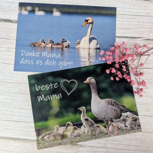 2 postales con fotografías de la naturaleza para el Día de la Madre