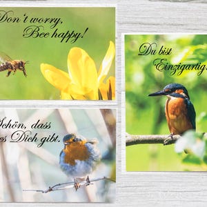 Lot de 3 cartes postales - beautés naturelles avec messages d'amour