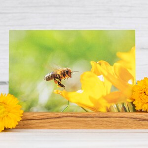 Carte postale « Abeille et Fleur – Un petit salut de la nature »