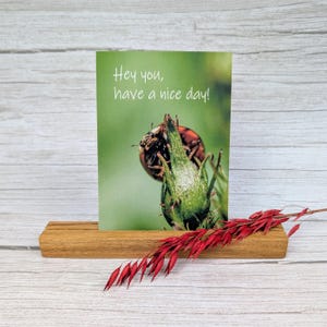 Carte postale « Un petit salut de la nature »