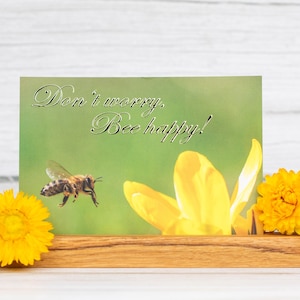 Postkarte "Don't worry, Bee happy" – Ein kleiner Gruß voller Natur & Lebensfreude