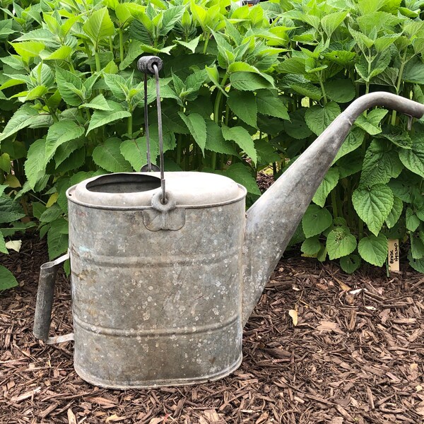 Vintage Antique Galvanized Gooseneck Watering Can (L)
