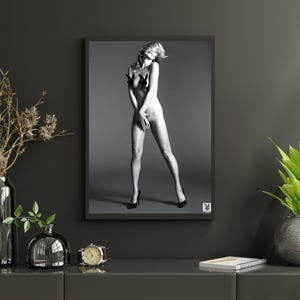 Kate Moss Playboy 2014 Poster – Copertina iconica del 60° anniversario / Scansionata dalla rivista originale / A4 e A3