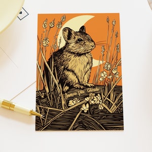Cartoline Colorado Pika - Serie 50 Stati / MNJohn Wildlife of the US Cartoline per postcrossing