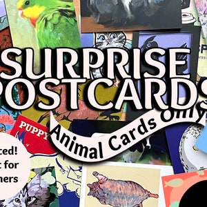 Solo animali, solo classificata G: cartoline a sorpresa cartoline casuali adatte ai bambini borsa da afferrare scatola cieca cartoline per insegnanti campo inviare agli amici