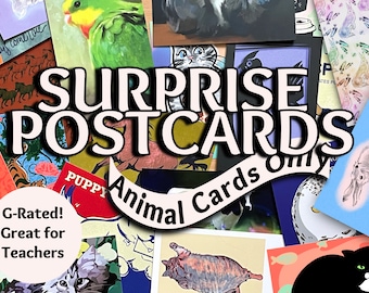 Animals Only, Only G-Rated: Surprise Postcards Kid-friendly Random Postcards Grab Bag Blind Box Postcards for teachers camp send to friends