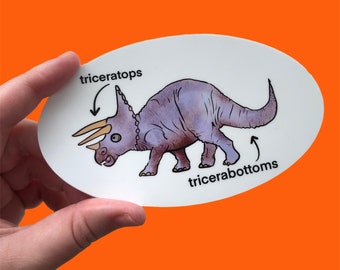 Funny Triceratops Sticker / Funny Dinosaur Water Bottle Laptop Car or Bike Sticker / Funny Bumper Sticker