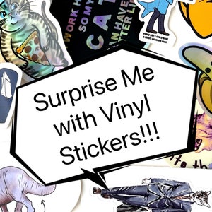 Surprise me with Vinyl Stickers / Random Grab Bag Sticker for car, laptop, blender bottle, or bike / Collectible Vinyl Decal