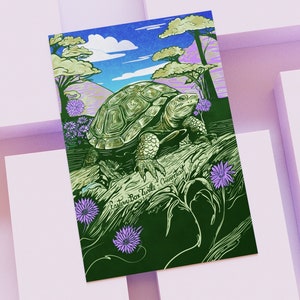 Cartoline del Connecticut - Serie 50 Stati / MNJohn Wildlife of the US Cartoline per postcrossing o posta ordinaria / MNJohn Postcrossing Cards