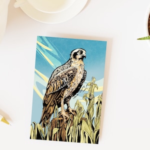 Iowa Osprey Postcards - 50 States Series / MNJohn Wildlife of the US Postcards for postcrossing