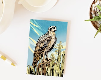 Iowa Osprey Postcards - 50 States Series / MNJohn Wildlife of the US Postcards for postcrossing
