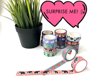 Surprise Me With Washi Tape / Planner Washi Tapes / Decorative Masking Tape Blind Box Grab Bag