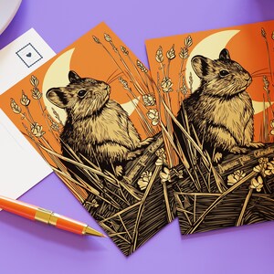 Cartes postales Colorado Pika - 50 States Series / MNJohn Wildlife of the US Postcards for postcrossing image 2
