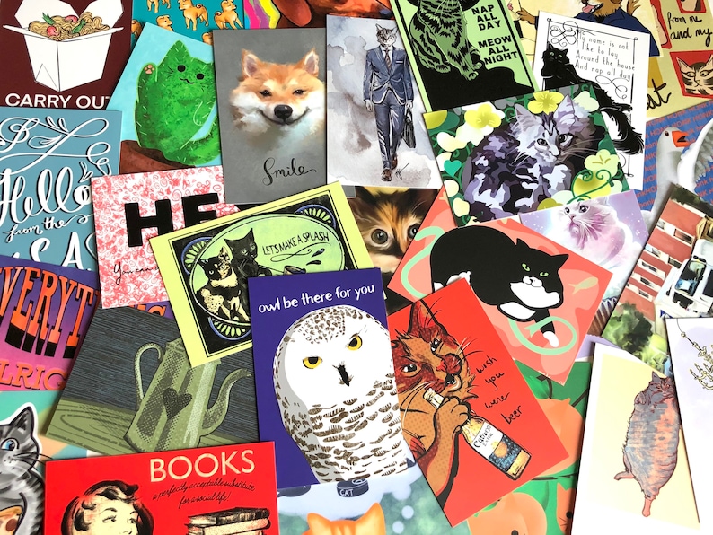 Puede incluir: Una colecci&oacute;n de tarjetas de felicitaci&oacute;n coloridas con gatos, b&uacute;hos y otros animales. Las tarjetas tienen varios mensajes, que incluyen "Let's Make a Splash", "Owl Be There For You", "Nap All Day Meow All Night" y "You Can Do It".