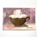 see more listings in the Postais section
