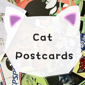 Cartes chat uniquement / Surprenez-moi avec des cartes postales de chat / Obtenez des cartes postales aléatoires / Cartes postales de boîte aveugle de sac de prise de chat pour postcrossing / pack de variétés image 1