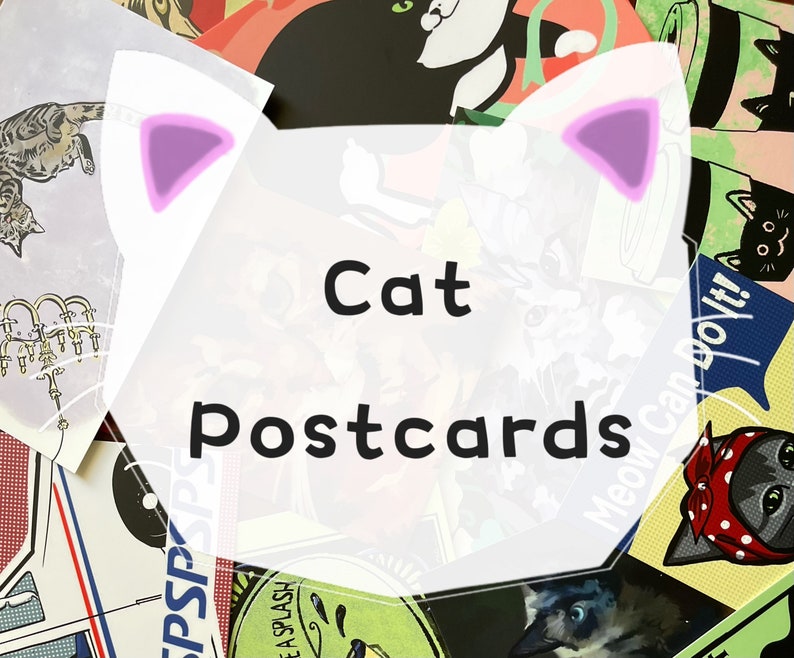 Cartes chat uniquement / Surprenez-moi avec des cartes postales de chat / Obtenez des cartes postales aléatoires / Cartes postales de boîte aveugle de sac de prise de chat pour postcrossing / pack de variétés image 1