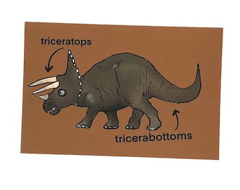 Funny Dinosaur Postcards - Triceratops Pun Humor Postcards, Cards for Postcrossing,