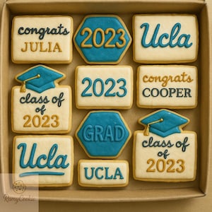 Graduation Cookies Gift Box, Custom Graduation Party Favors, Class of Decorated Cookies, Congrats Cookies, Graduation Party Treats