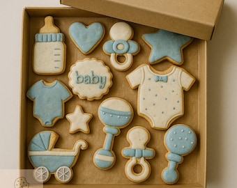 2 dozen Baby Shower Cookies, Baby Theme Royal Icing Cookie Set, Blue Baby Gift, Baby Party Cookies