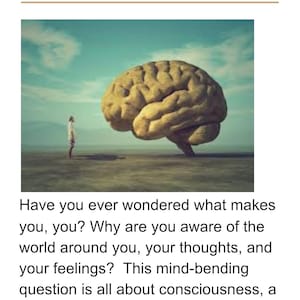 Consciousness