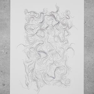 May include: A black and white abstract print with a swirling, organic pattern. The print is titled "Auvillt 8".