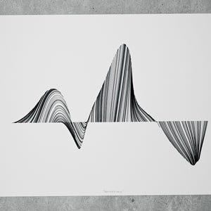 May include: Black and white abstract line art print of a wave-like pattern. The print is titled "Wonderscape".