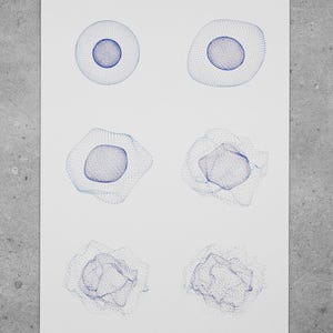 May include: A white sheet of paper with six blue geometric shapes, each with a smaller circle inside. The shapes are arranged in two rows of three. The paper is signed "1/1" and "*Sunrise*" in the bottom left corner and "A.S. 2022" in the bottom right corner.