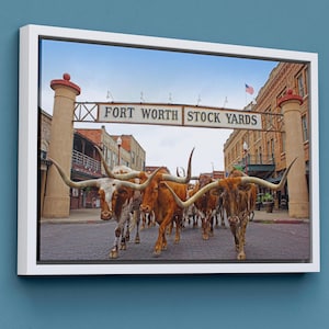 Fort Worth Stock Yards Art, Texas Bulls Longhorn, Huge Canvas Wall Art, Fort Worth Print, Texas Longhorn Wall Art, Man Cave Gift, Farm Art