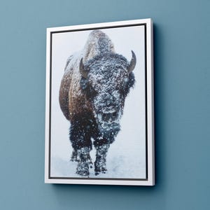 American Buffalo in Snow Original Poster Print, Bison Wall Art, Buffalo Home and Office Wall Decor