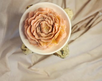 Cera di fiori di peonia che si scioglie e scalda