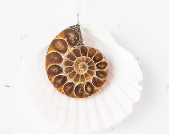 Ammonite Silver Necklace Long Boho Nautilus Pendant