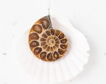 Ammoniet zilveren ketting lange Boho Nautilus hanger