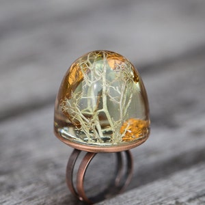 Botanical Dome Statement Resin Ring Nature Moss Druid Cocktail Ring OOAK fairy Broceliande enchanted forest merlin lichen nature inspired