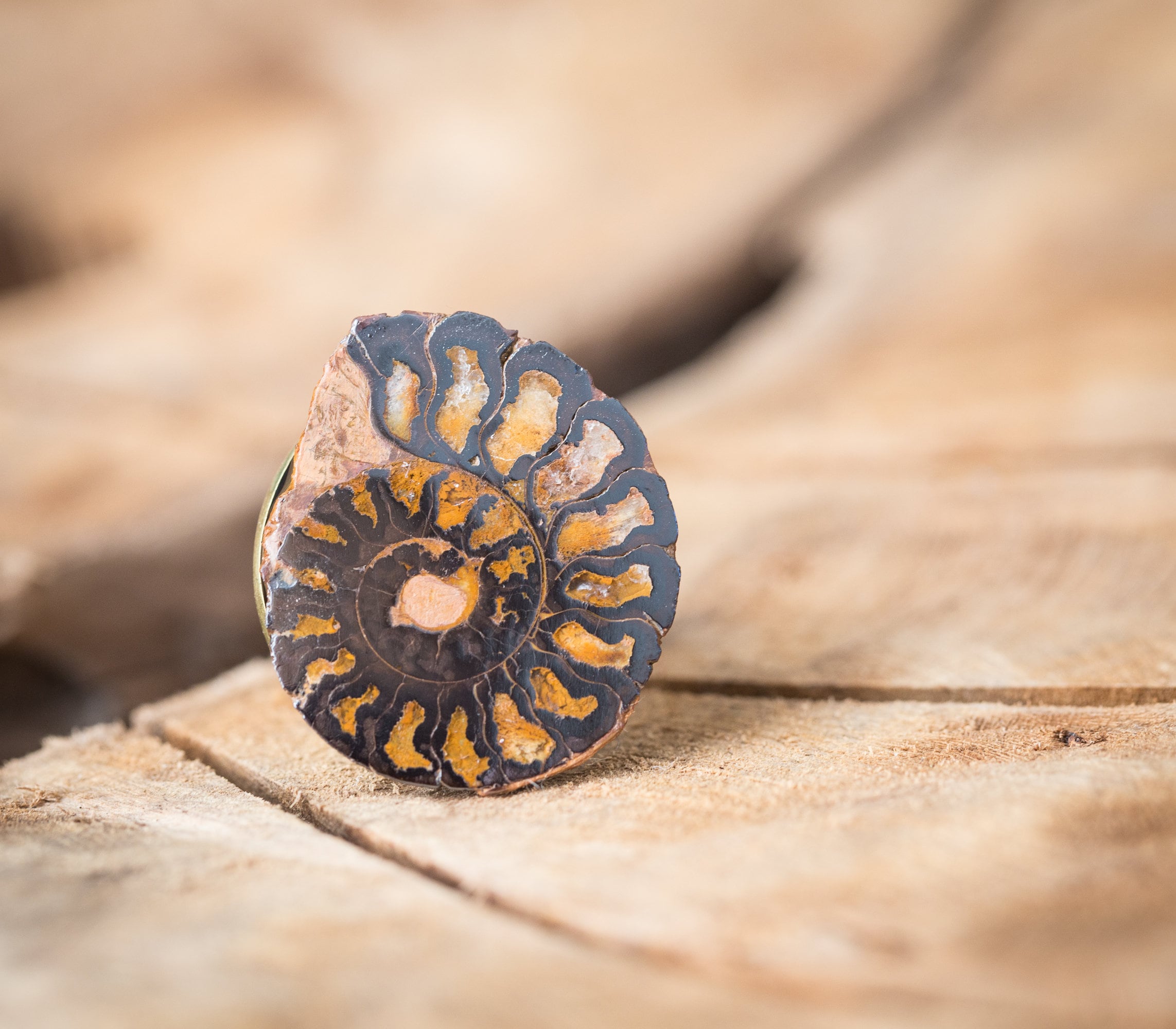 Ammonite Ring Adjustable Statement Cocktail Ring OOAK Boho fossile jewelry