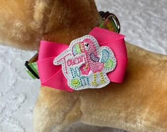 Toucan Do It Dog Collar Size XS through Large by Doogie Couture