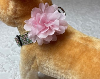 May Flowers Dog Collar Size XS through Large