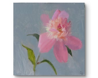 Pink Peony Bloom, unframed