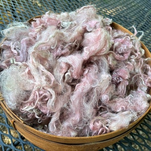 Hand-Dyed Suri Alpaca Fiber, 5 Inches, 2 Ounces, Stringybark, Doll Hair, Spinning Fiber, Felting Fiber, U.S. Grown Alpaca