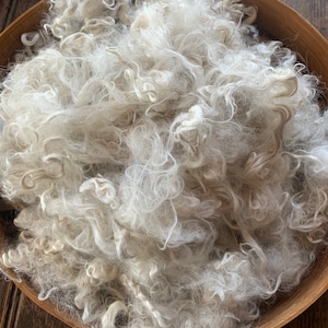 Suri Alpaca Fiber, 5 Inches, White, 2 Ounces, Fancy, Doll Hair, Spinning Fiber, Felting Fiber, U.S. Grown Alpaca