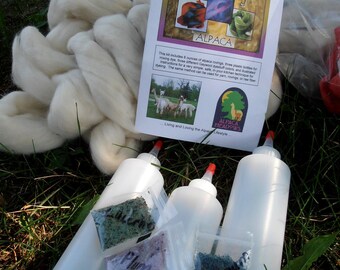 Hand Painted Roving Kit, Dye Kit, Alpaca Roving, Gaywool Dyes, Mixing Bottles, Detailed Instructions