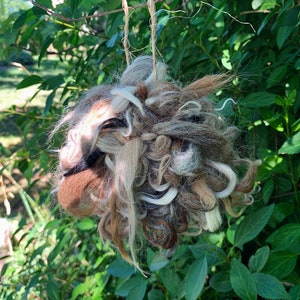 Alpaca Bird Nesting Ball