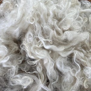 White Mohair, 2oz Washed Fiber, 4” Staple, Angora Goat Locks from Ike, Spinning, Doll Hair, Felting