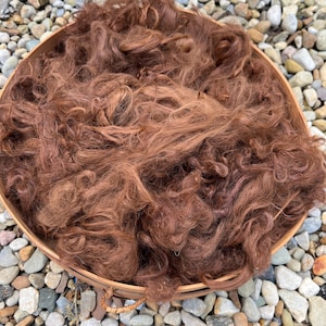 Medium Brown Suri Alpaca Fiber: Doll Hair, Spinning, Felting - 2 oz, 6 Inches