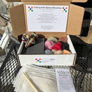 Needle Felting Starter Kit, DIY Craft Kit, Beginner Felting Kit