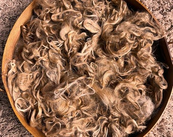 Light Fawn Suri Alpaca Fiber for Spinning - Washed Locks - Farm Grown - Two Ounces - Savannah