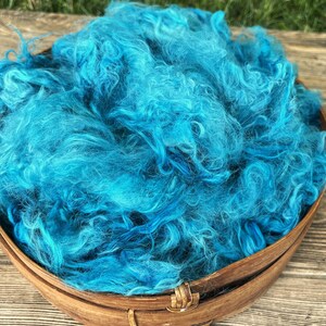 Hand Dyed Suri Alpaca Fiber, Lily, Grown by Lorelei, 4&quot;, Doll Hair, Spinning Fiber, Felting Fiber, U.S. Grown Alpaca