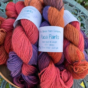 Hand-Dyed Alpaca Yarn – DK Weight, Soft and Natural, Paca Paints “Marti Gras” for Crochet and Knitting